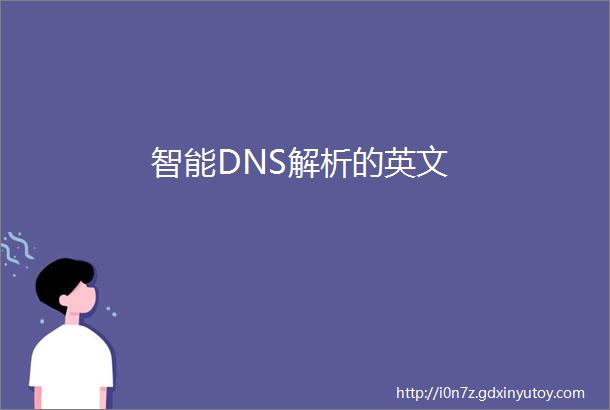 智能DNS解析的英文